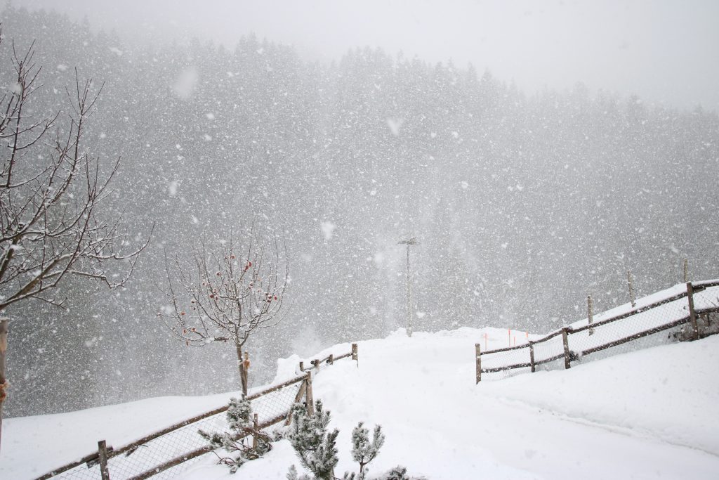 snow inventory tracking software